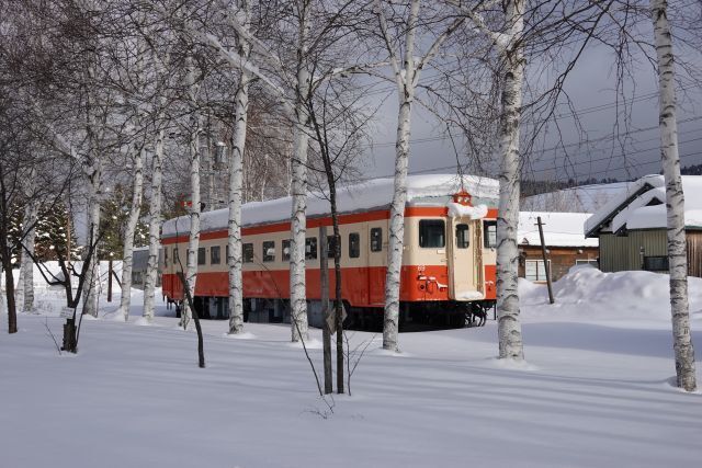 DRX04009.jpg