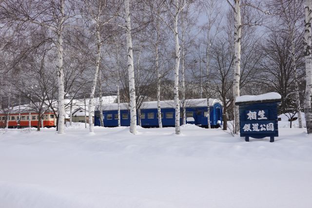 DRX04017.jpg
