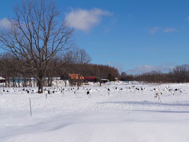 DSC_8931.jpg